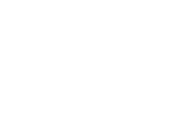 Logo PoliTo